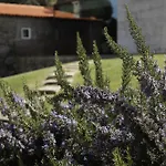 Leiras Do Tempo - Adults Nature Retreat - - Geres National Park Vila