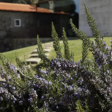 Leiras Do Tempo - Adults Nature Retreat - - Geres National Park 别墅