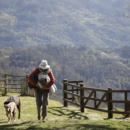 Leiras Do Tempo - Adults Nature Retreat - - Geres National Park Brufe
