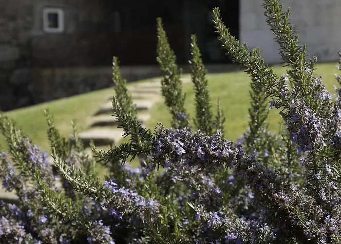 Leiras Do Tempo - Adults Nature Retreat - - Geres National Park Villa