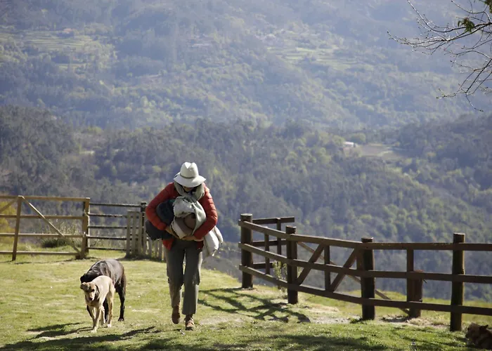 Leiras Do Tempo - Adults Nature Retreat - - Geres National Park Brufe